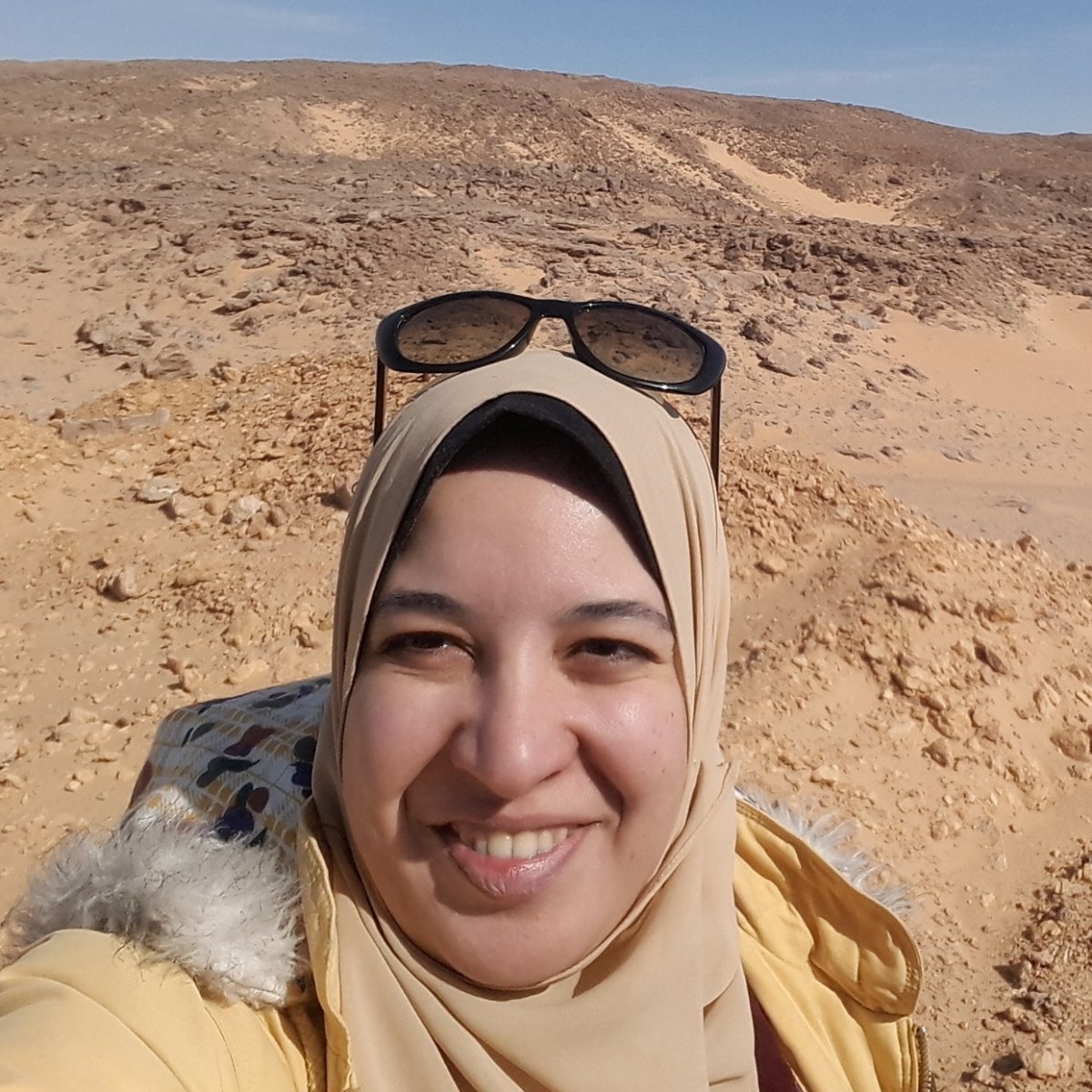 Enas A. Ahmed, Egypt